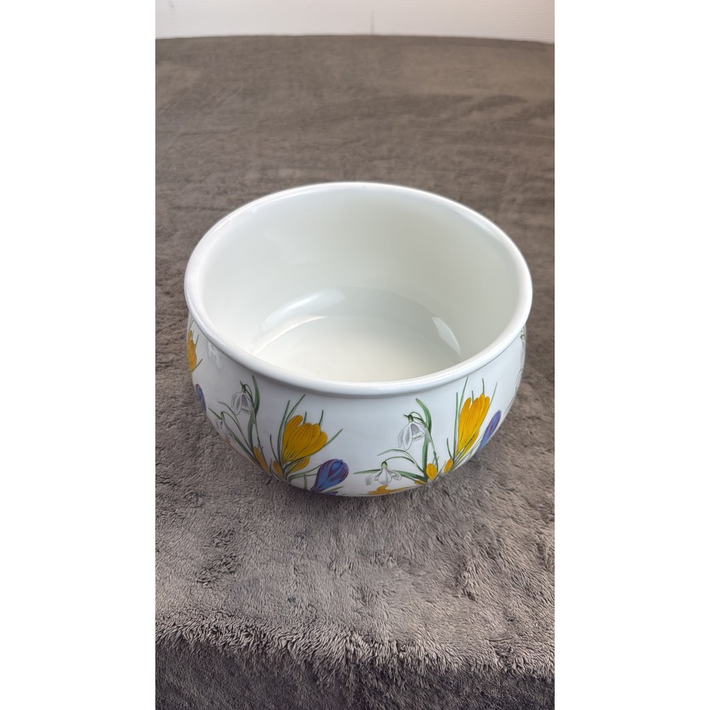 Vintage Botanical Galanthus Snow-Drop and Crocus Ceramic Planter Bowl‎ 10 Inch